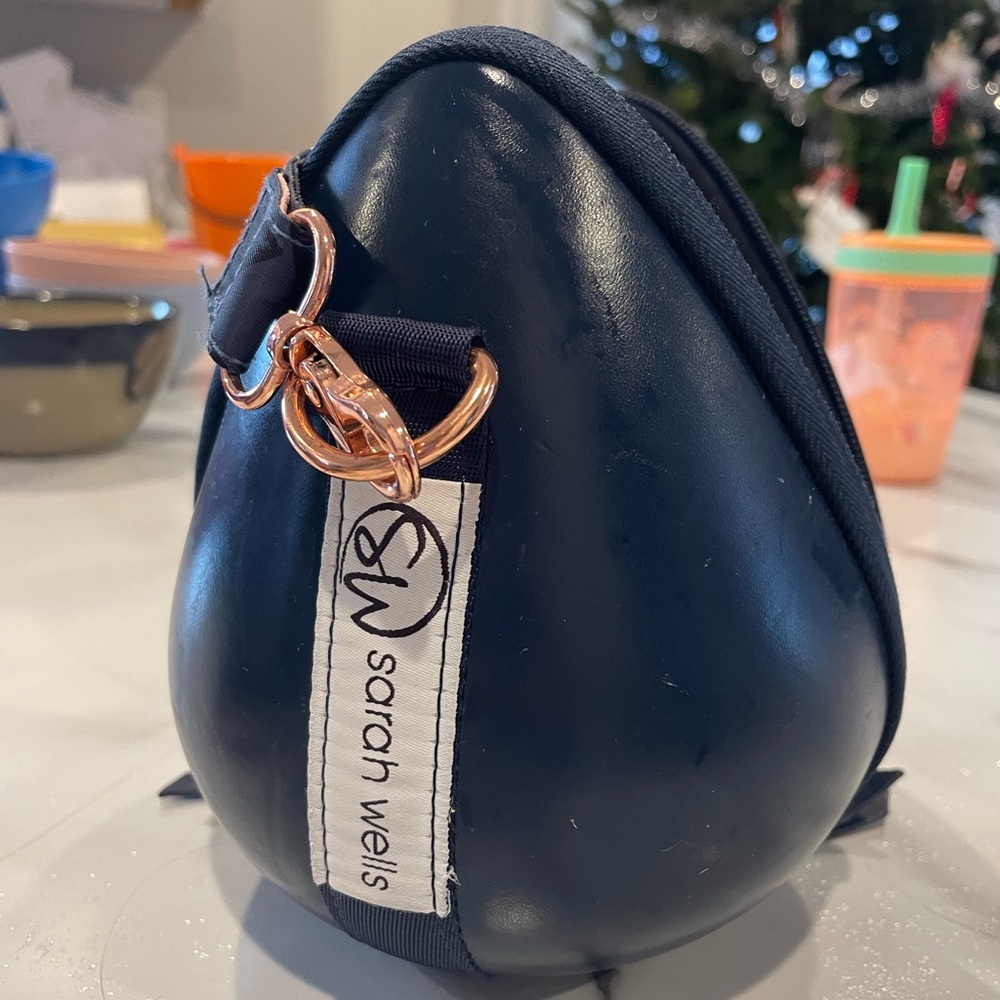 Sarah wells milkwear case for wearable pumps